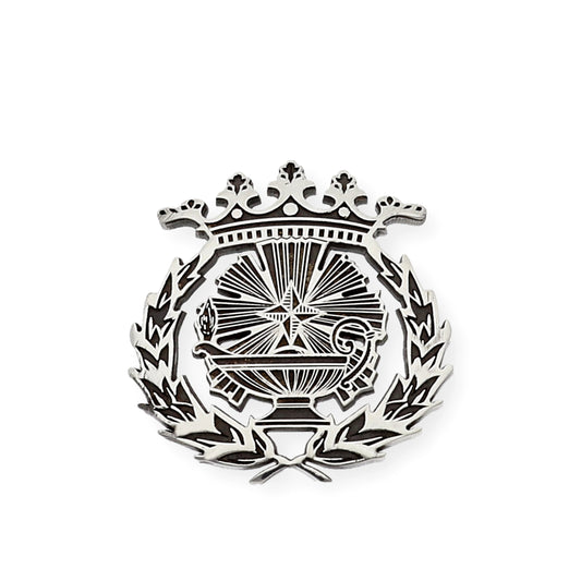 Pin Insignia Profesional de Ciencias Químicas en Plata de Ley 925