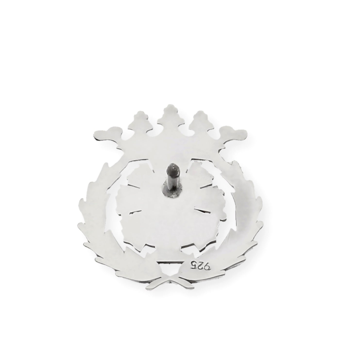 Pin Insignia Profesional de Ciencias Químicas en Plata de Ley 925