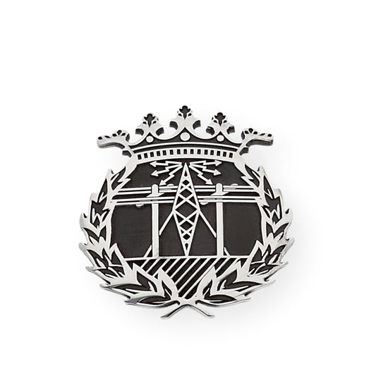 Pin Insignia Profesional de Ingeniería en Telecomunicaciones en Plata de Ley 925