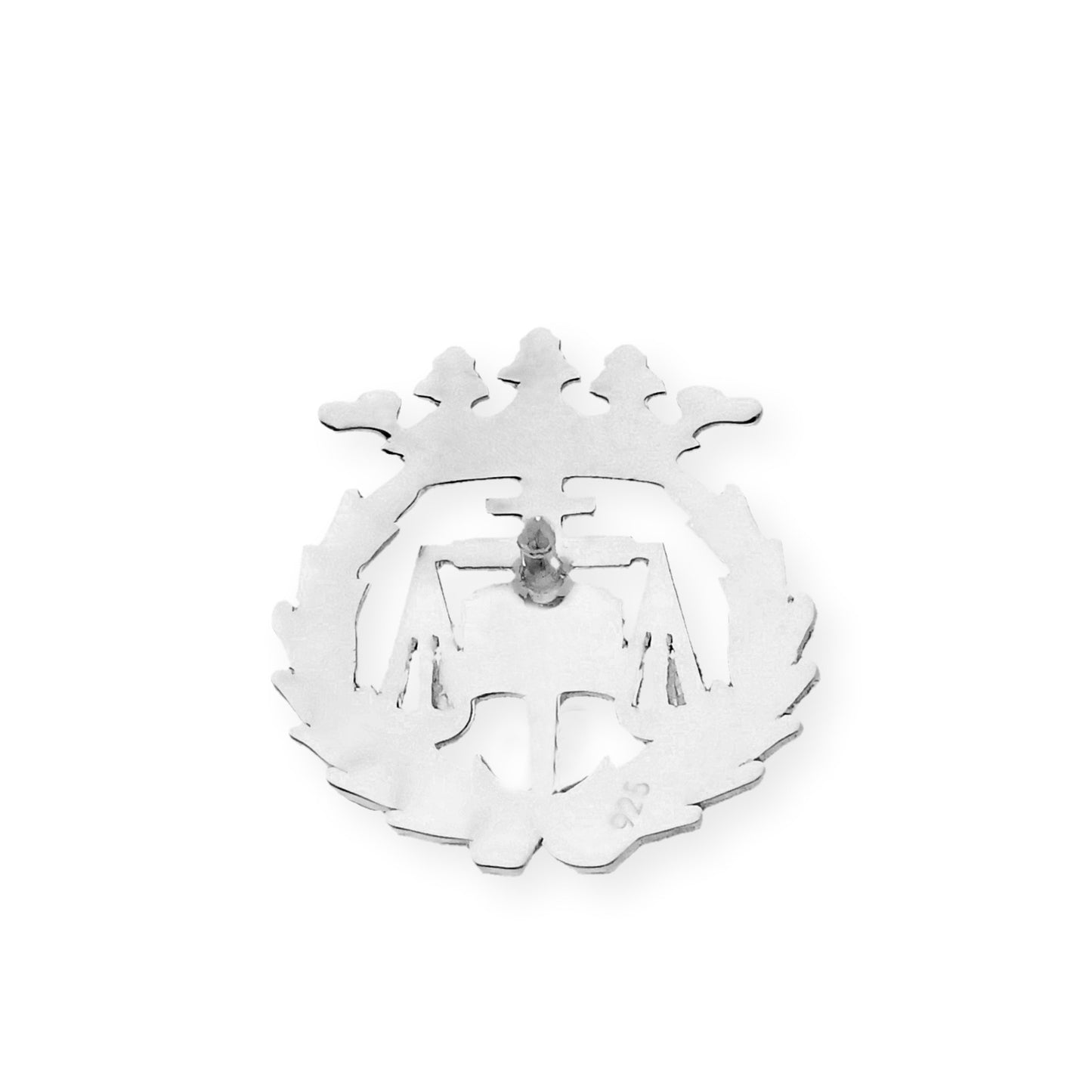 Pin Insignia Profesional de Ciencias del Trabajo en Plata de Ley 925