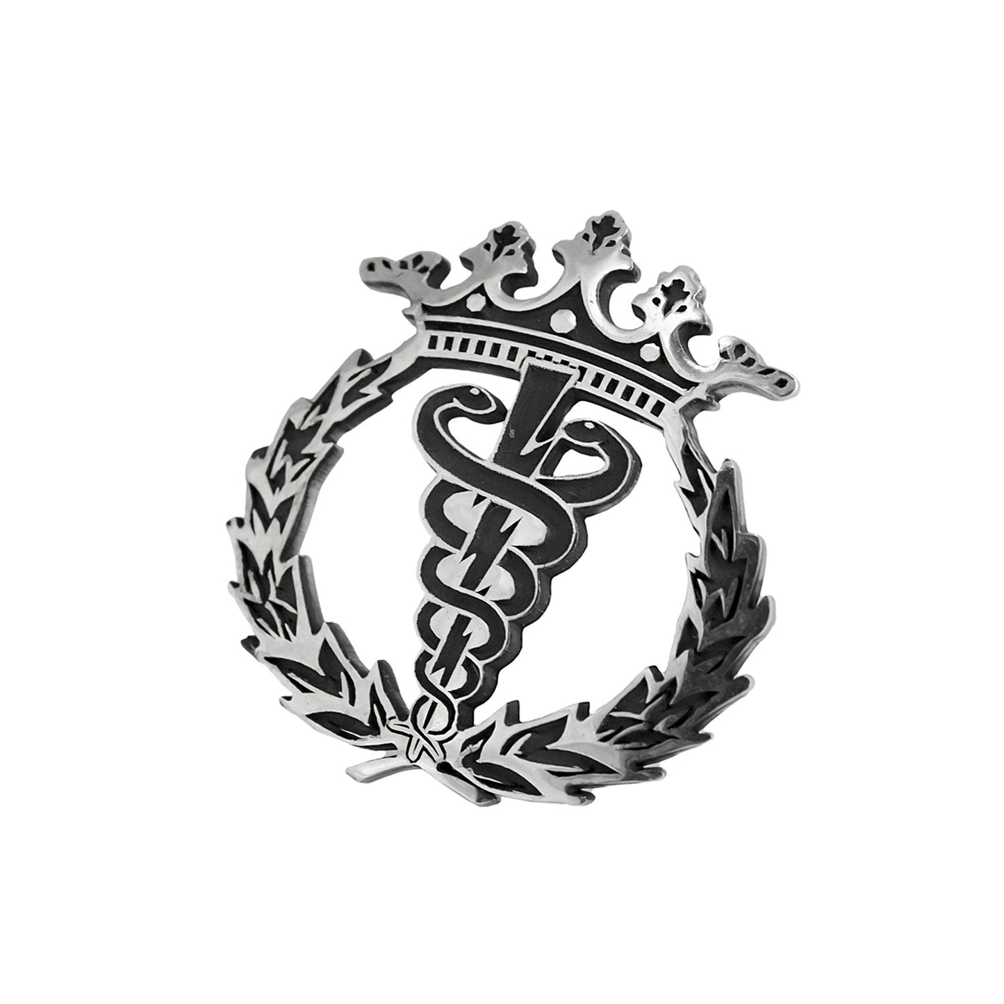 Pin Insignia Profesional de Fisioterapia en Plata de Ley 925