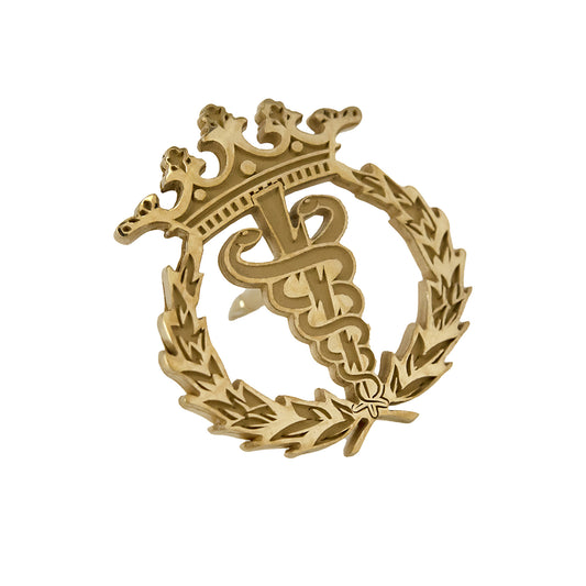 Pin Insignia Profesional de Fisioterapia en Plata de Ley 925 Bañada en Oro de 18K