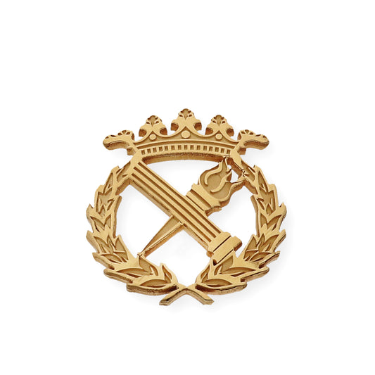 Pin Insignia Profesional de Filosofía en Plata de Ley 925 Bañada en Oro de 18K