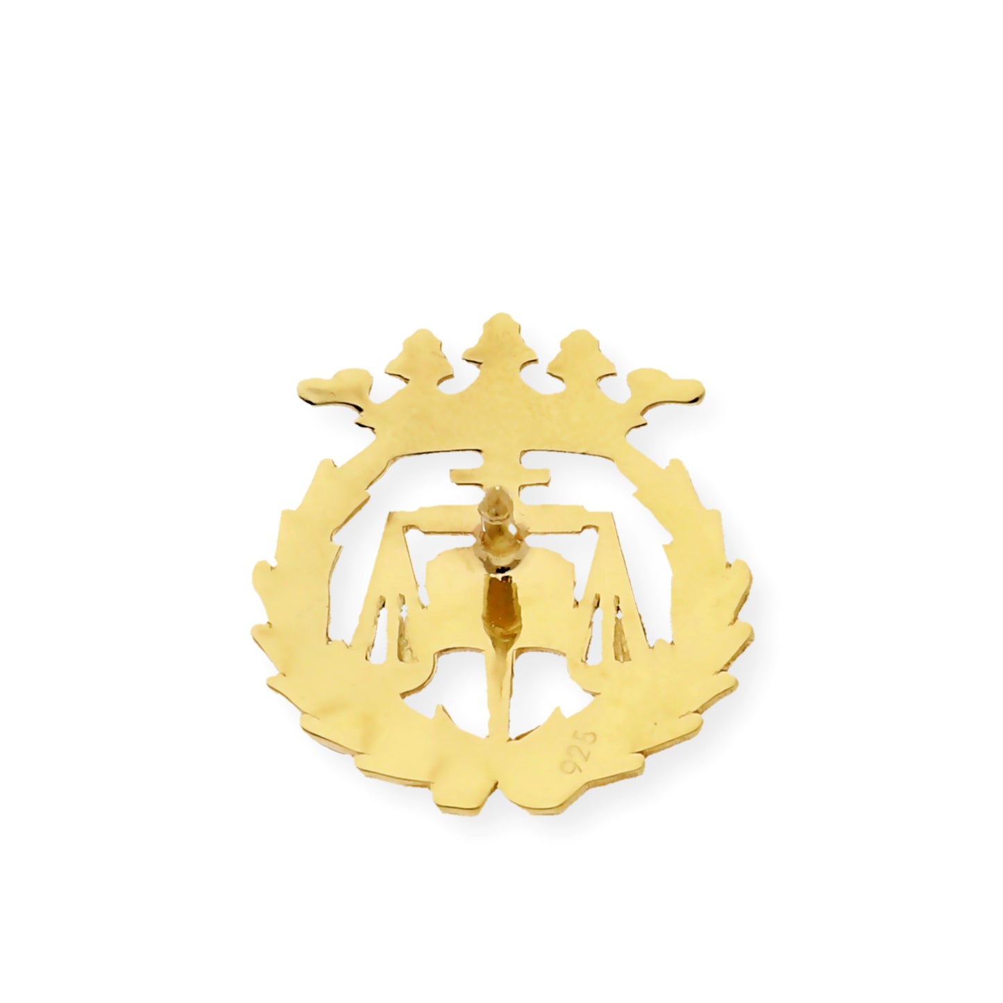 Pin Insignia Profesional de Ciencias del Trabajo en Plata de Ley 925 Bañada en Oro de 18K