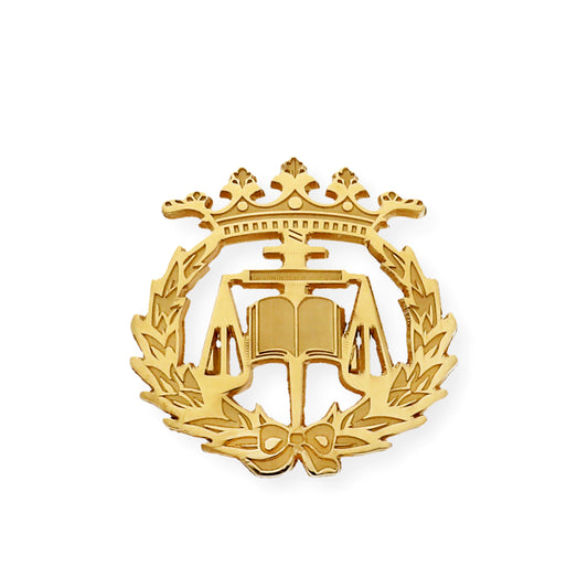 Pin Insignia Profesional de Ciencias del Trabajo en Plata de Ley 925 Bañada en Oro de 18K