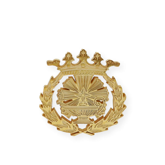 Pin Insignia Profesional de Ciencias Químicas en Plata de Ley 925 Bañada en Oro de 18K