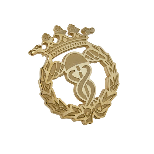 Pin Insignia Profesional de Turismo y Finanzas en Oro de Ley 18K