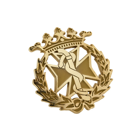 Pin Insignia Profesional de Odontología en Oro de Ley 18K
