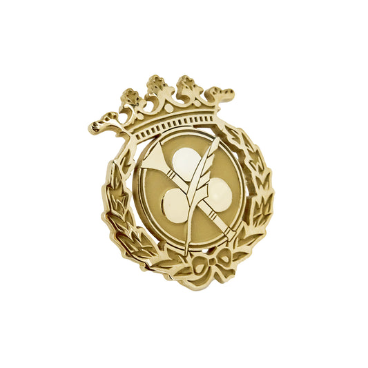 Pin Insignia Profesional de Comunicación Audiovisual en Oro de Ley 18K
