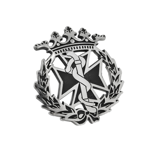 Pin Insignia Profesional de Odontología en Plata de Ley 925