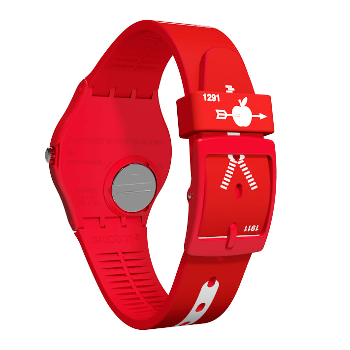 Reloj Swatch SCHWIIZITUDE GR168