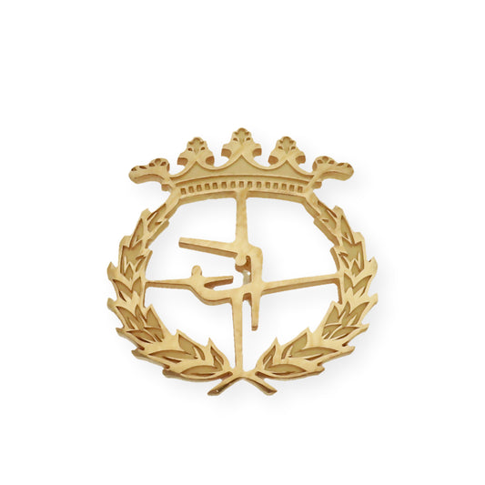 Pin Insignia Profesional de ciencias del deporte en Oro de Ley 18K