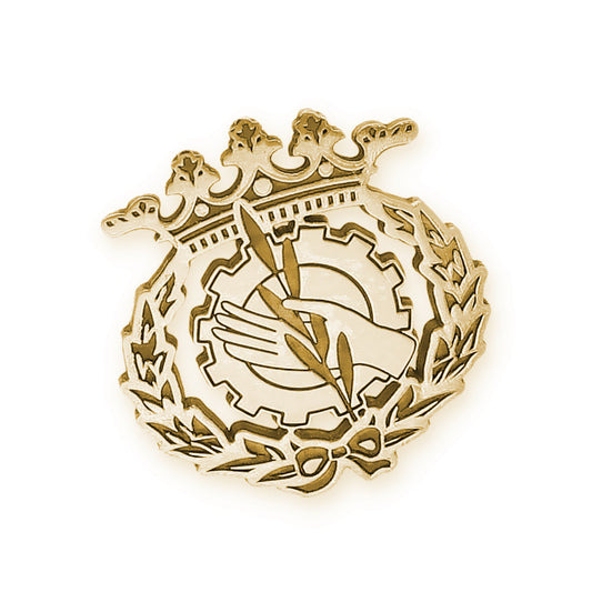 Pin Insignia Profesional de Trabajo Social en Plata 925 con Baño de Oro 18k