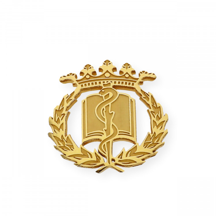 Pin Insignia Profesional de Medicina en Plata de Ley 925 Bañada en Oro de 18K