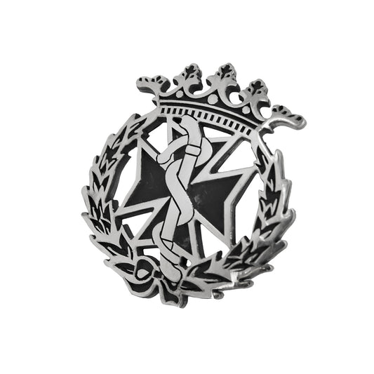 Pin Insignia Profesional de Odontología en Plata de Ley 925