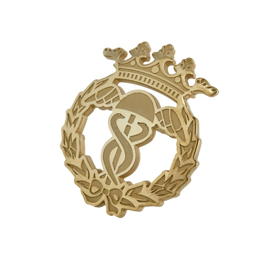 Pin Insignia Profesional de Turismo y Finanzas en Oro de Ley 18K