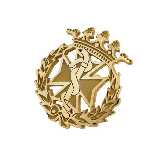 Pin Insignia Profesional de Odontología en Oro de Ley 18K