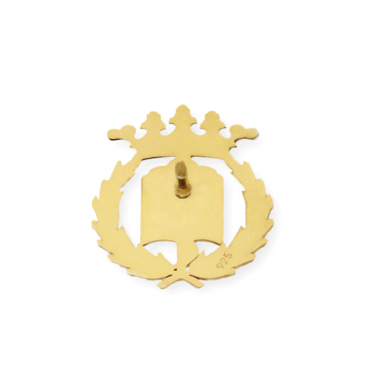 Pin Insignia Profesional de Medicina en Oro de Ley 18K