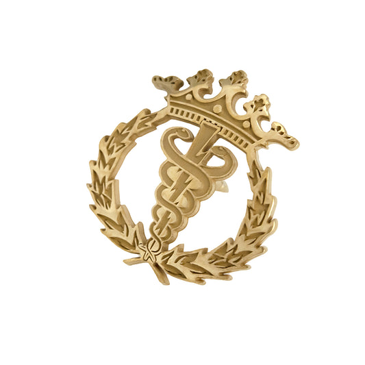Pin Insignia Profesional de Fisioterapia en Oro de Ley 18K