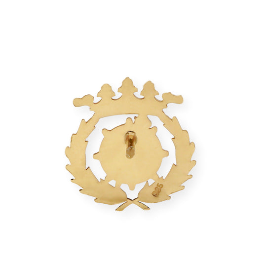 Pin Insignia Profesional de Ciencia Política y Sociología en Oro de Ley 18K