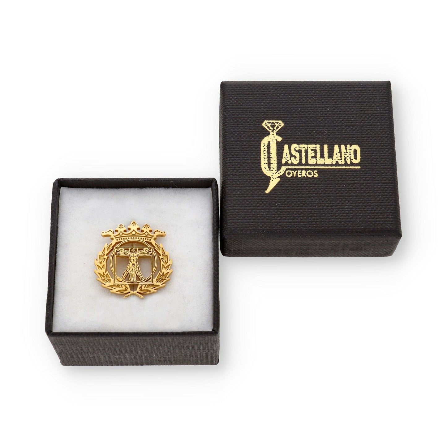 Pin Insignia Profesional de Bellas Artes en Plata 925 con Baño de Oro 18K