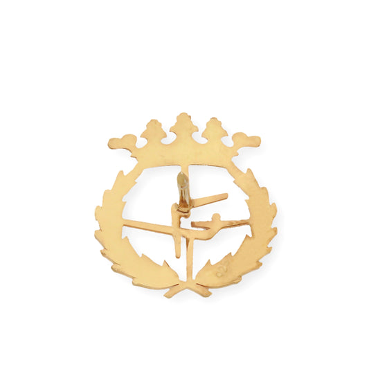 Pin Insignia Profesional de Ciencias del Deporte en Plata de Ley 925 Bañada en Oro de 18K
