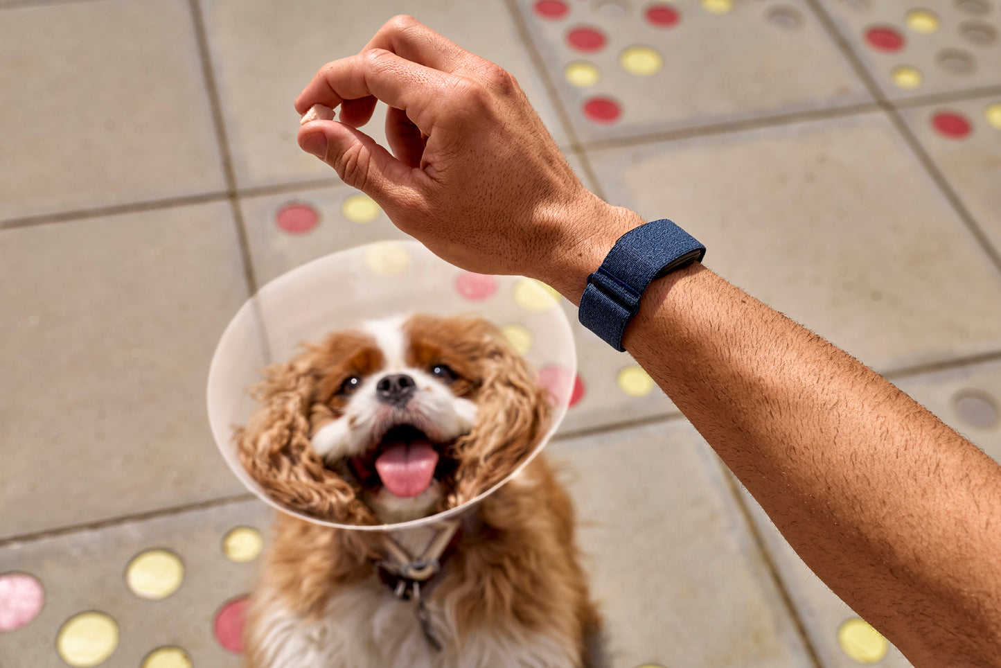 Garmin CIRQA™ Smart Band 010-04675-03 Color Azul L-XL