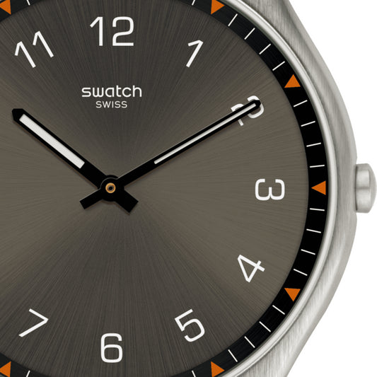Reloj Swatch SKINEARTH SS07S103